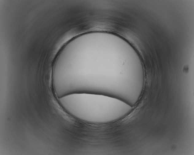 X0000093531227200710121142