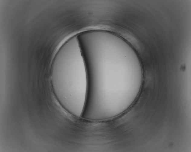 X0000093531228200710121142