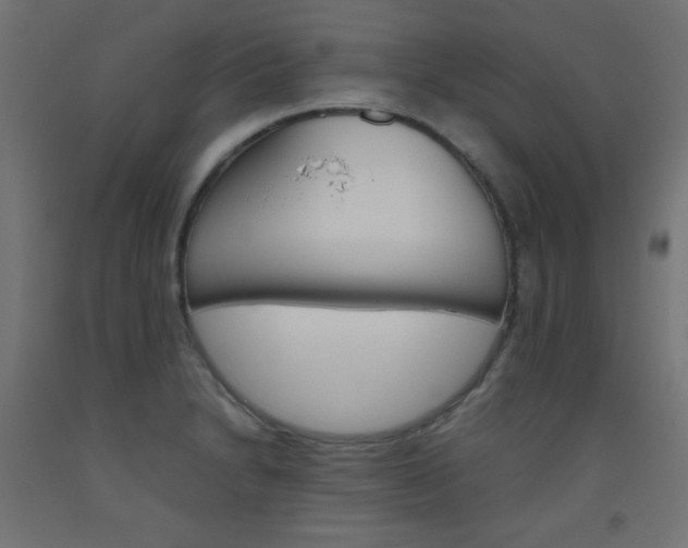 X0000093531230200710121142