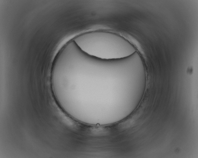 X0000093531231200710121142