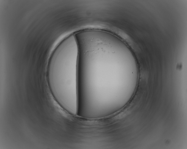 X0000093531232200710121142