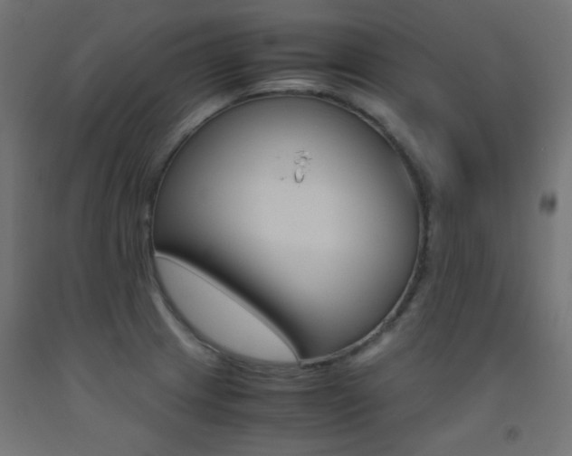 X0000093531233200710121142
