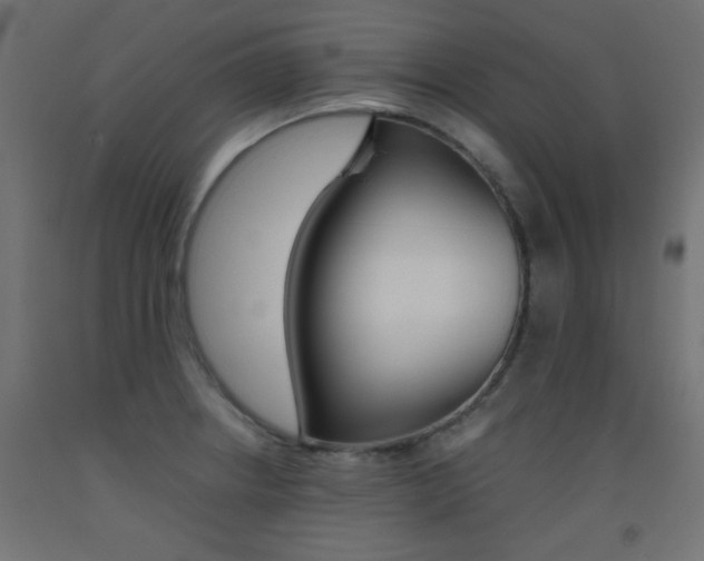 X0000093531234200710121142