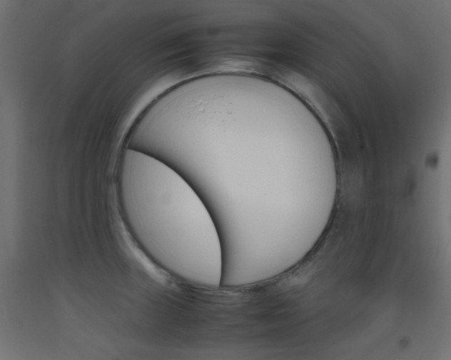 X0000093531235200710121142