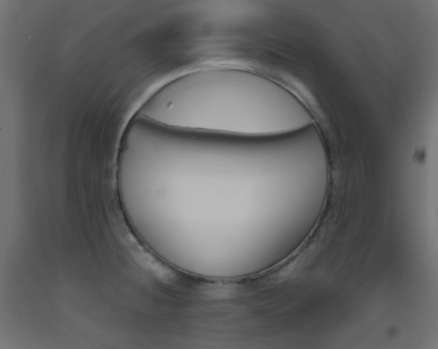 X0000093531236200710121142