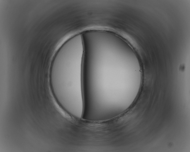 X0000093531237200710121142