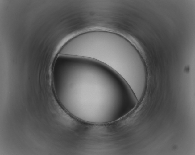 X0000093531238200710121142