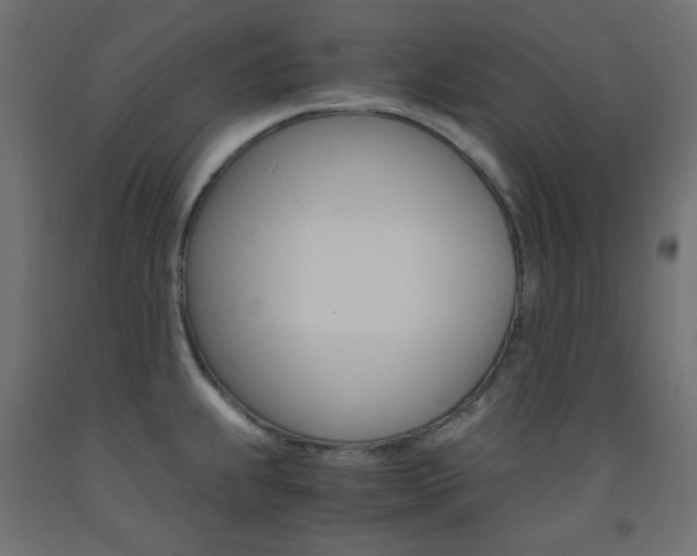 X0000093531239200710121142
