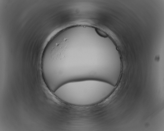 X0000093531240200710121142