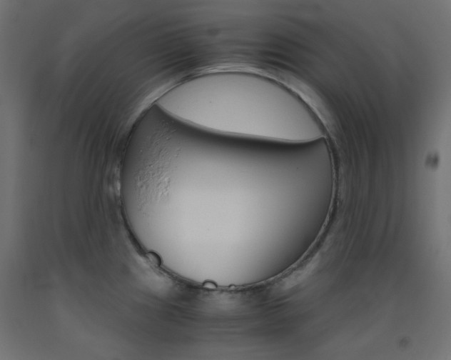 X0000093531241200710121142