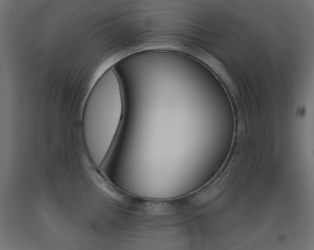 X0000093531242200710121142