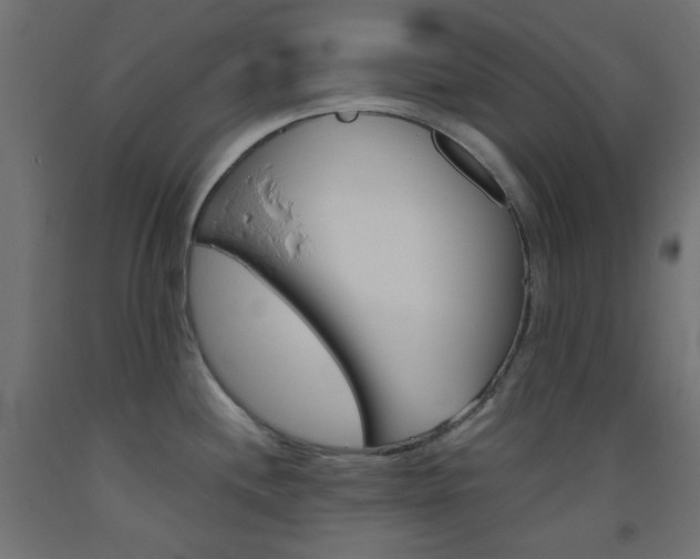 X0000093531244200710121142