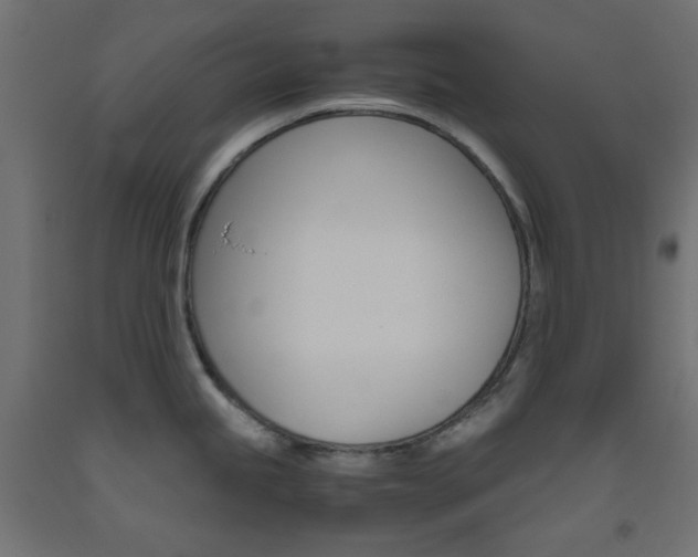 X0000093531245200710121142