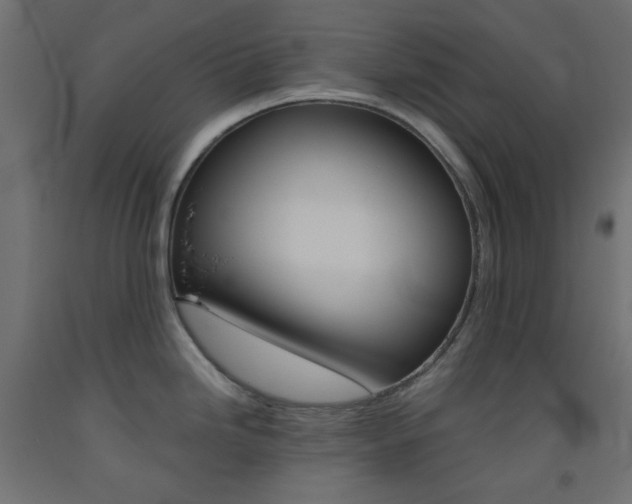 X0000093531246200710121142