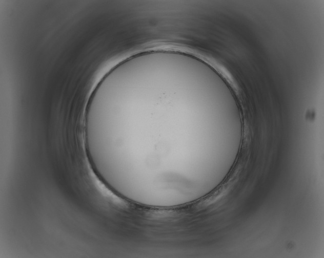 X0000093531247200710121142