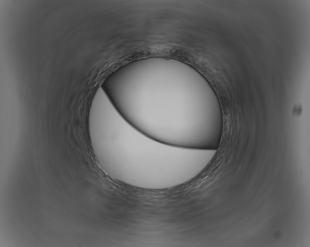 X0000093531249200710121142