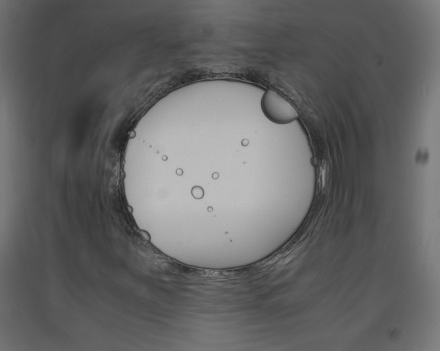 X0000093531251200710121142