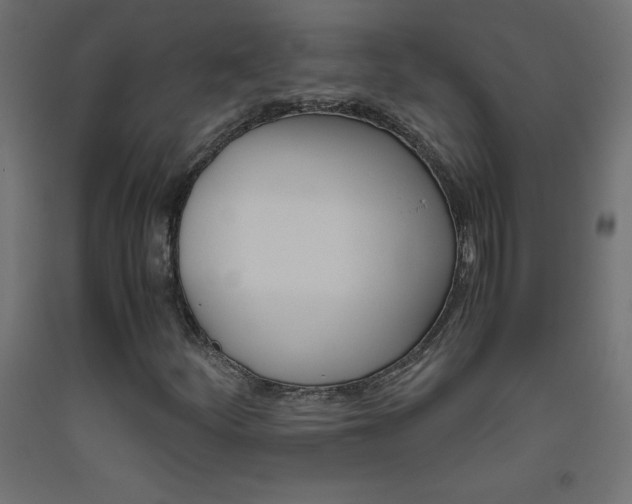 X0000093531252200710121142