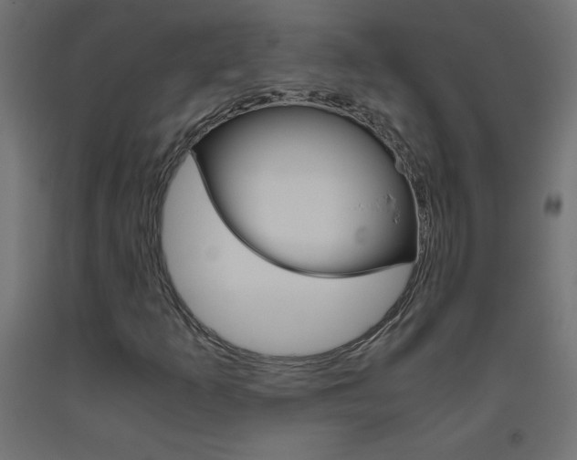 X0000093531253200710121142