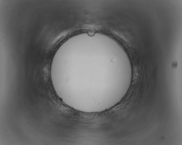 X0000093531254200710121142