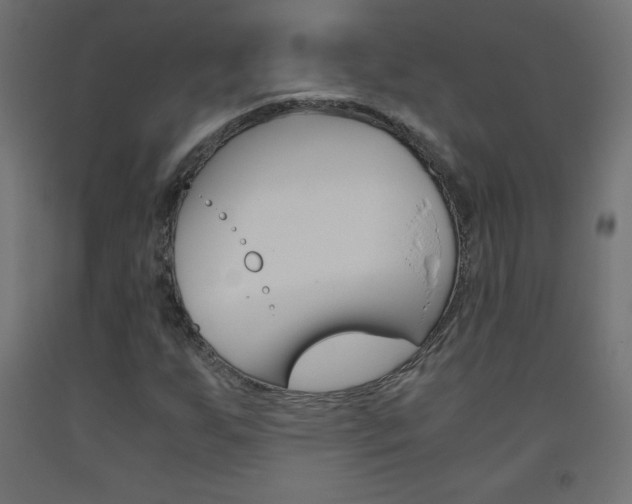 X0000093531255200710121142