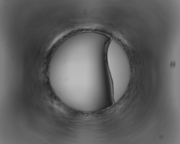 X0000093531256200710121142
