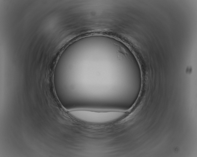 X0000093531257200710121142