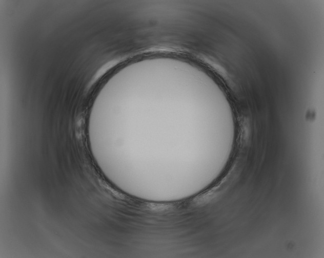X0000093531258200710121142