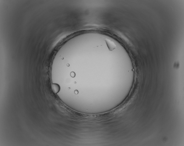 X0000093531259200710121142