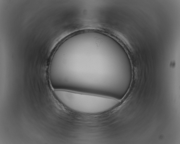 X0000093531260200710121142