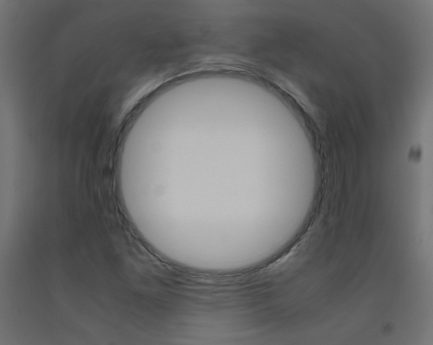 X0000093531261200710121142