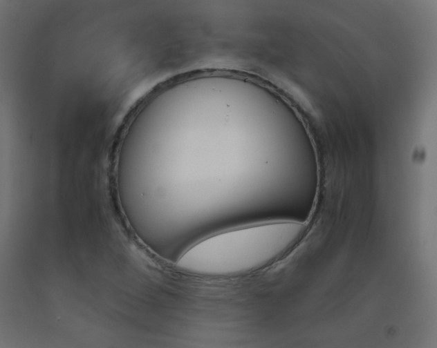 X0000093531264200710121142