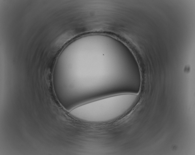 X0000093531265200710121142