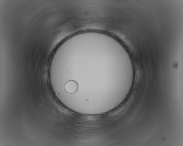 X0000093531266200710121141