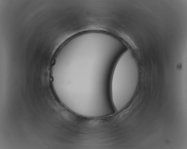 X0000093531268200710121141
