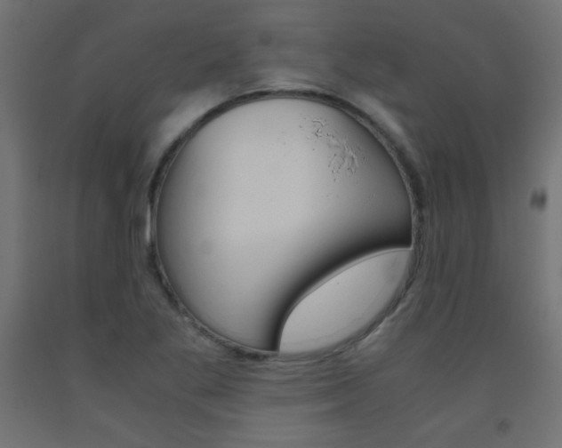 X0000093531269200710121141