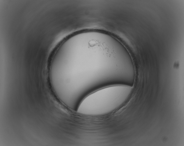 X0000093531270200710121141