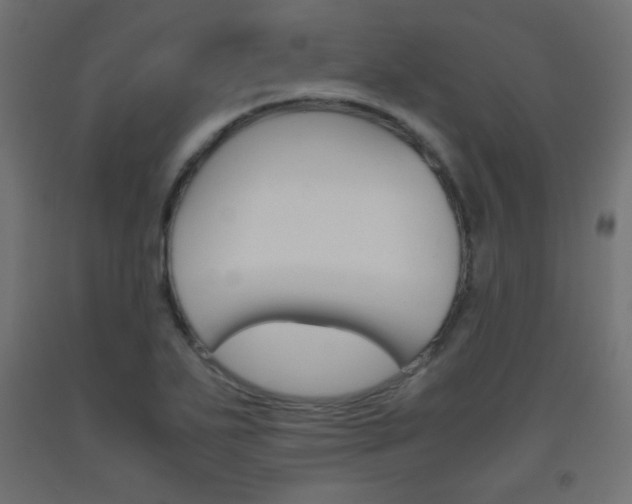 X0000093531271200710121141