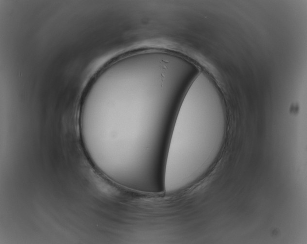 X0000093531272200710121141