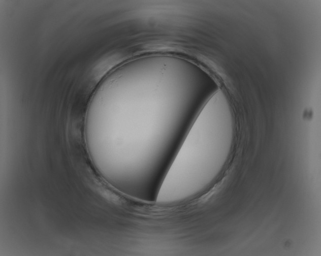X0000093531273200710121141