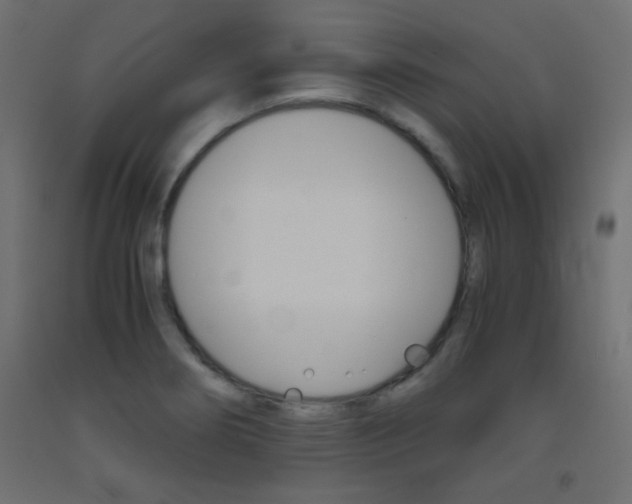X0000093531274200710121141