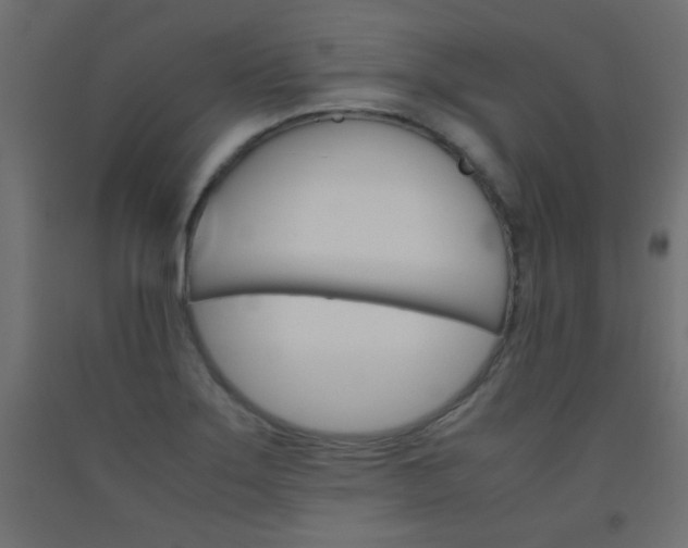 X0000093531275200710121141