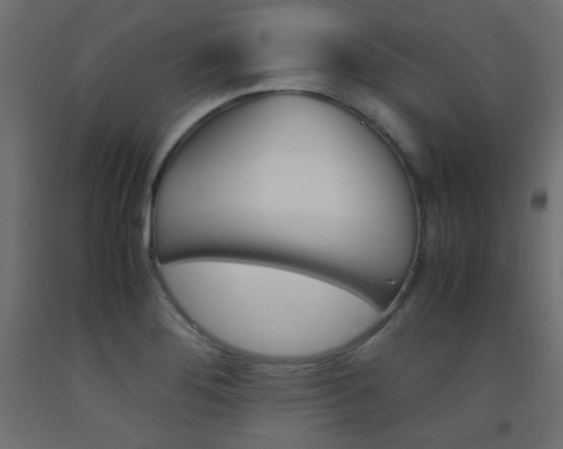 X0000093531276200710121141