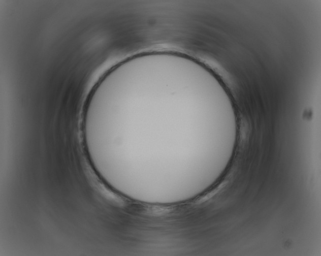 X0000093531278200710121141