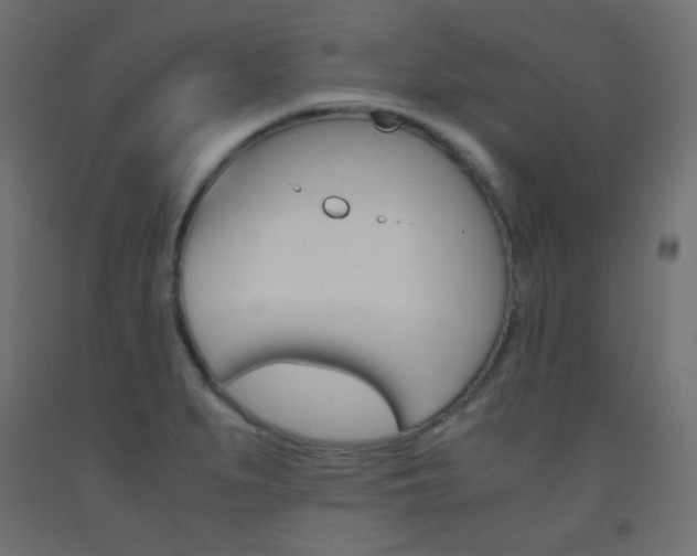 X0000093531279200710121141