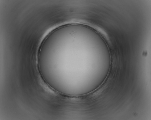 X0000093531280200710121141