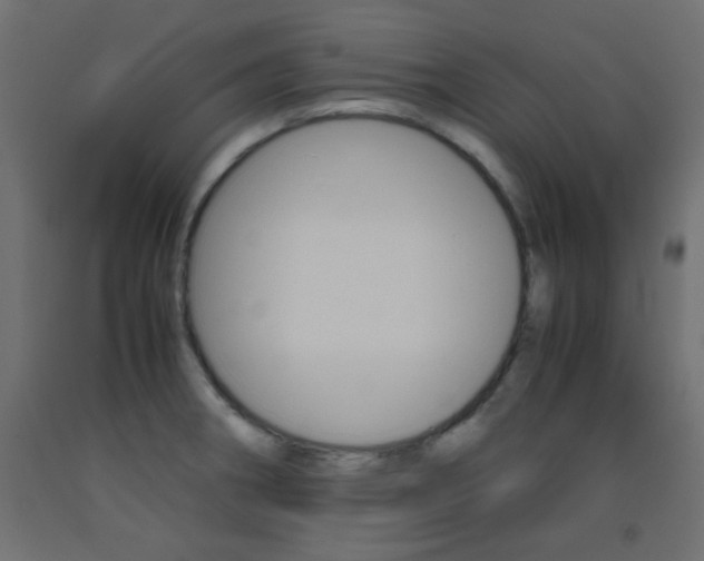 X0000093531282200710121141