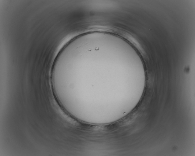 X0000093531283200710121141