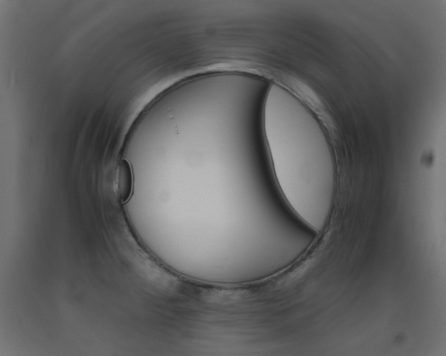 X0000093531284200710121141