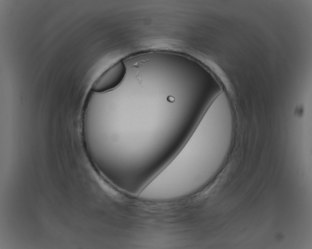 X0000093531285200710121141